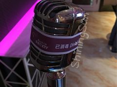 -奥斯汀KTV(金湖店)