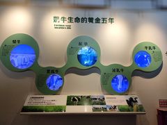 -君乐宝优致牧场