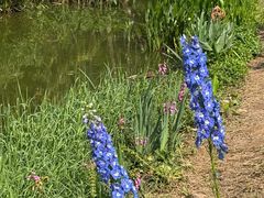 -人民公园(罗湖区)