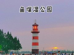 -鱼嘴湿地公园