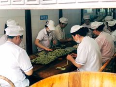 -南塘油赞子(南塘店)