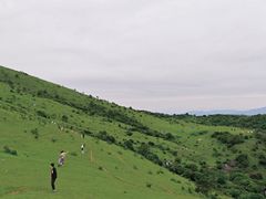 -大姆山草场
