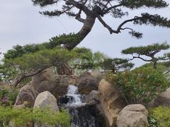 -罗红摄影艺术馆