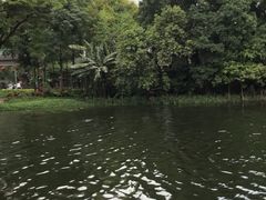 -荔湾湖公园