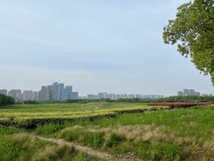 -苏州湾体育公园