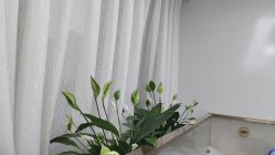 点击看大图 -悟空祛痘·诺奖技术专业店