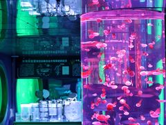 -左海海底世界