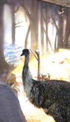 点击看大图 -酷嗒动物文化乐园(cutezoo西溪乐天城店)