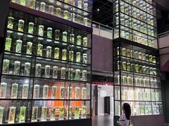 -广东中医药博物馆