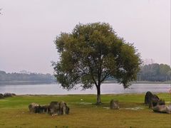 -滨湖塘西河公园