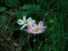 -汉长安城未央宫国家考古遗址公园