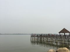 -瑶湖郊野森林公园