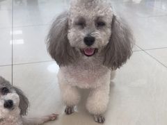 -美联众合动物医院·24h京西诊疗中心