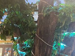 -海岛八号龙虾烧烤田鸡(蓝天路总店)
