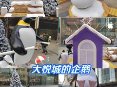 -大悦城(沈阳中街店)