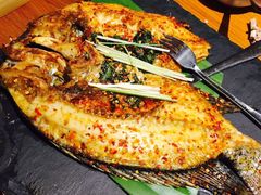 -云海肴·汽锅鸡·云南菜(天津国金汇店)