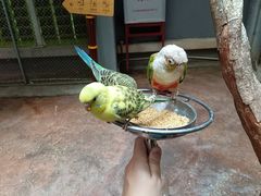 -正佳雨林生态植物园