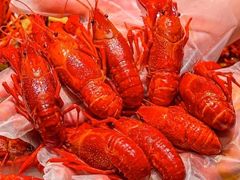 -红盔甲·小龙虾(天钥桥店)