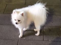 -成都市活水公园