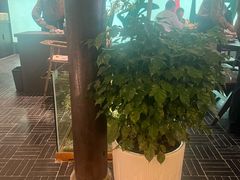 -杏花村水席楼·洛阳水席(老城十字街店)