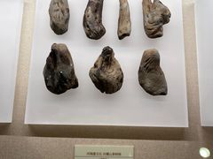 -中国茶叶博物馆(双峰馆区)