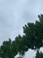 -HEYAN长风荷妍专业脱毛美肤
