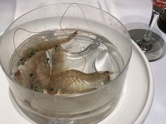 -红鼎豆捞·非遗鲍皇汤火锅(宝丰路店)