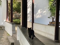 -西园寺素食(西园弄戒幢律寺店)