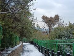 -树山生态村