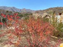 -白水寺森林公园