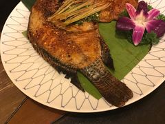 -紫滇源云南生态菜(丹凤街店)