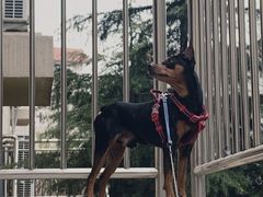 -青岛利群四方购物广场