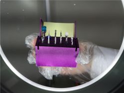 德国进口打磨头-派恩宜灰指甲鸡眼嵌甲手足癣