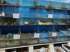 -宾朋海鲜特色美食餐厅·纯手工鲅鱼水饺(兴海路店)