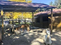 -北京市海淀外国语实验学校