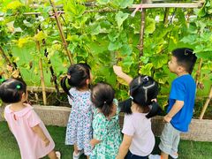 -江门市中天国际艺术幼儿园