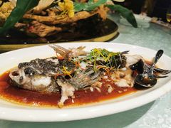 清蒸石斑鱼-福禧酒窖·中餐厅 (万柳店)