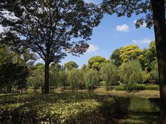 -上海鲜花港