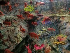 -太平洋海底世界