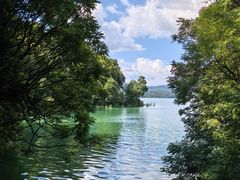 -广州市流溪河国家森林公园
