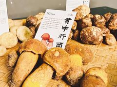 -滇野云南野生菌餐厅(陕西南路店)