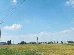 -小陆莲花蟹园农家乐(莲花岛店)