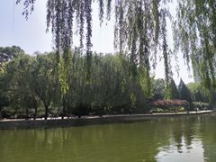 -团结湖公园