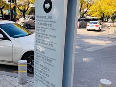 -三里屯东五街银杏大道