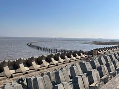 -南汇嘴观海公园