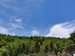 -宁波浙东大竹海景区