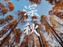 -上海怡沁园度假酒店