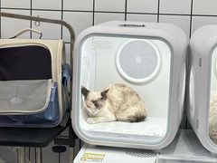 -BABIT巴比特宠物(MOMOPARK店)