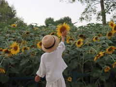 -五通灯塔公园