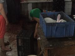 -温江公平红烧兔(总店)